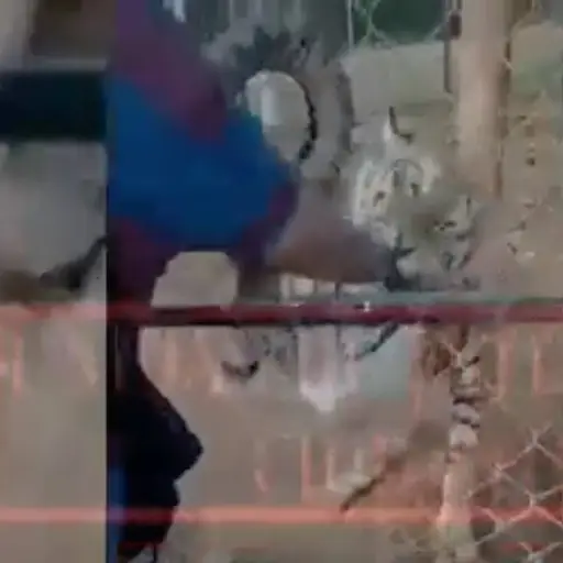 Captura de pantalla video. 