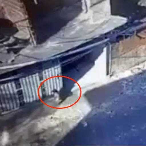 Captura de pantalla video. 