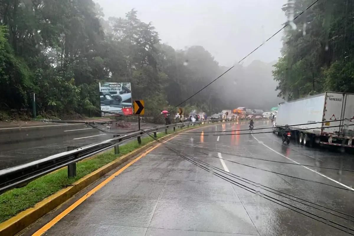 Cae árbol y derriba poste de alumbrado eléctrico en ruta hacia San Lucas Sacatepéquez, 