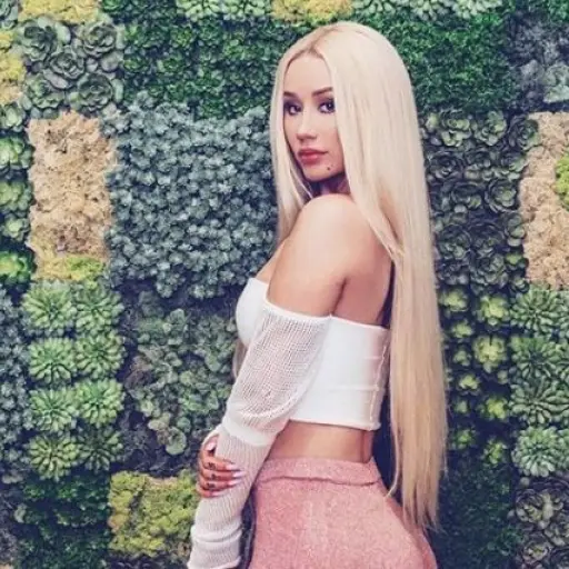 iggyazalea-f658e03b64e7f94283709ed6337c6532.jpg ,