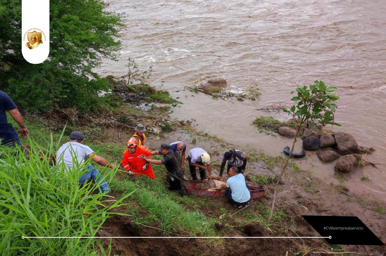 colapso del puente Tule 2 | 