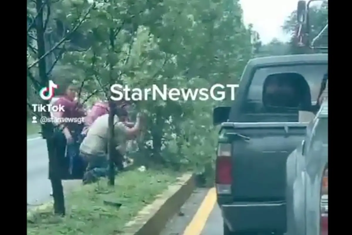 Pasajeros de bus cortan árboles de arriate en San Lucas para retornar, 