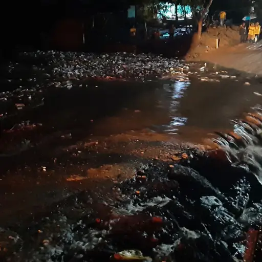 Foto: Francisco Mejía Cervantes