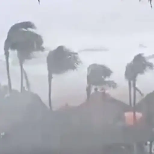 Captura de pantalla de Twitter