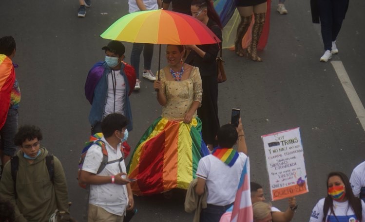 Desfile de la Diversidad Sexual e Identidad Sexual-7 | 