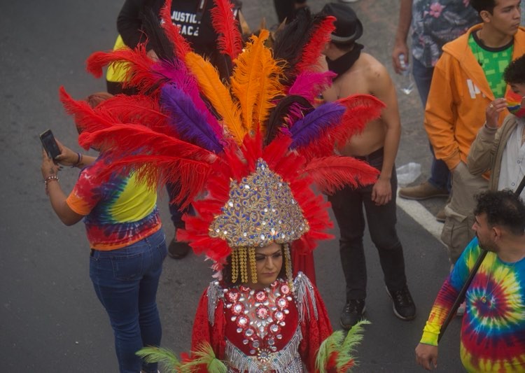 Desfile de la Diversidad Sexual e Identidad Sexual-2 | 