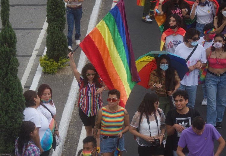 Desfile de la Diversidad Sexual e Identidad Sexual-1 | 