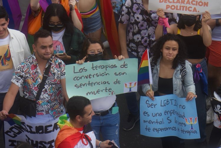 Desfile de la Diversidad Sexual e Identidad Sexual- | 