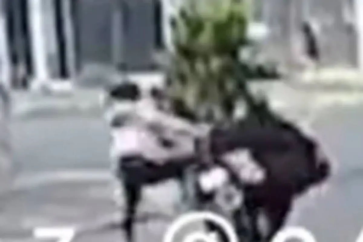 Video. Sujeto derriba violentamente a mujer de su moto para robársela, 