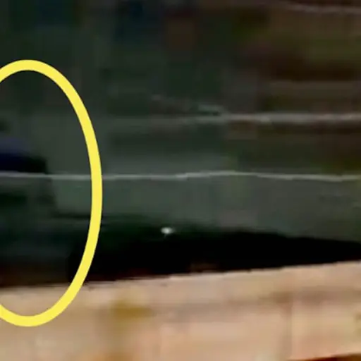 Captura de pantalla video. 