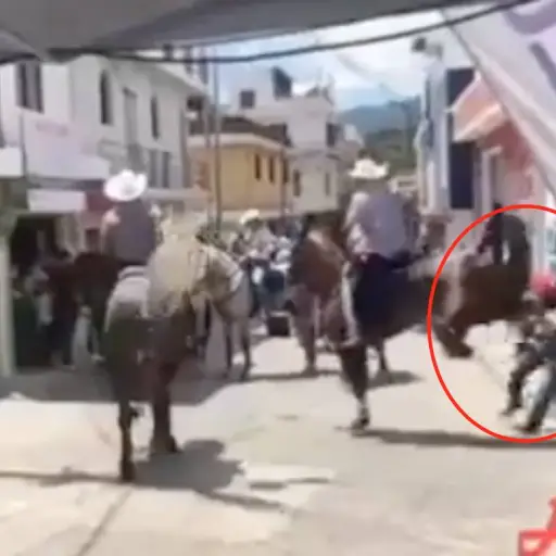 Caballo derribó de una patada a hombre en desfile hípico en Quiche ,