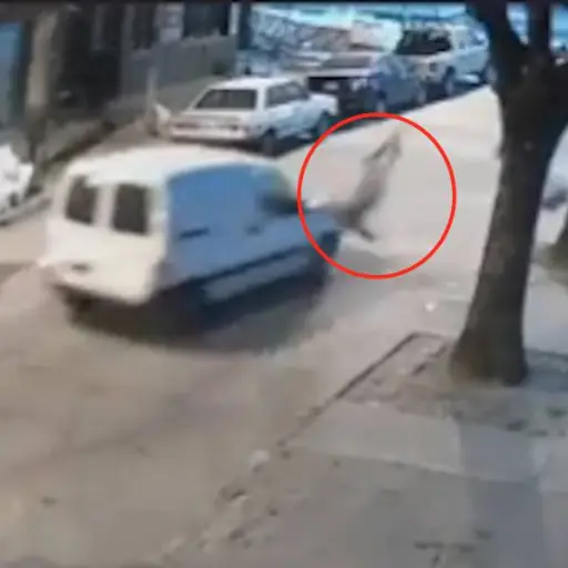 Captura de pantalla video Twitter.