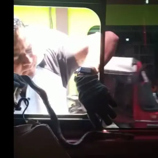 Captura de pantalla video. 