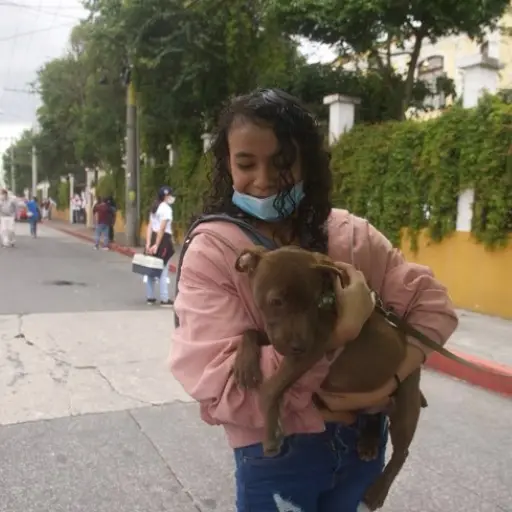 Foto ilustrativa de archivo: Omar Solís/EU