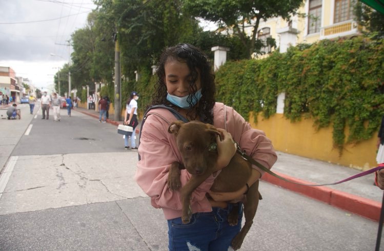 jornada-vacunacion-perros-usac-emisoras-unidas5 | 