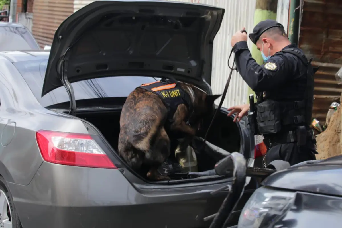 Un perro de la unidad antinarcótica K-9 (tomado del inglés cannine) fue utilizado para revisar el interior del automóvil. / Foto: PNC