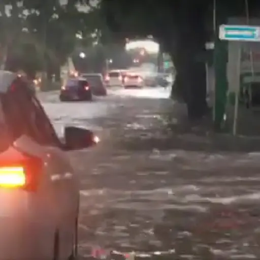 Foto: Omar Solís/EU