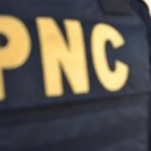 Capturan a cinco agentes de la PNC senalados de extorsion ,