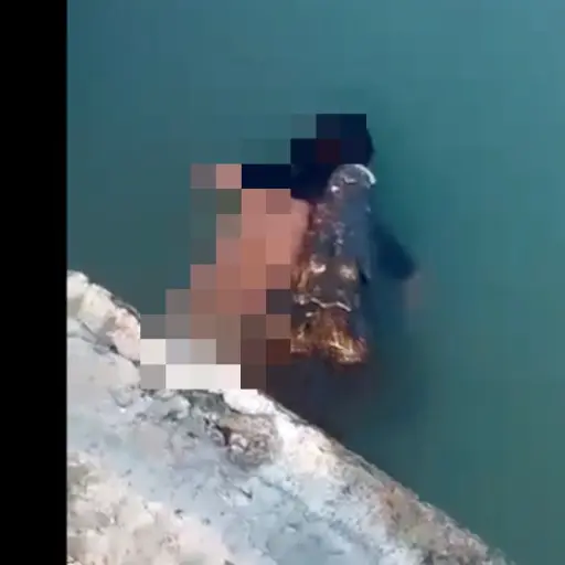 Foto: captura de video