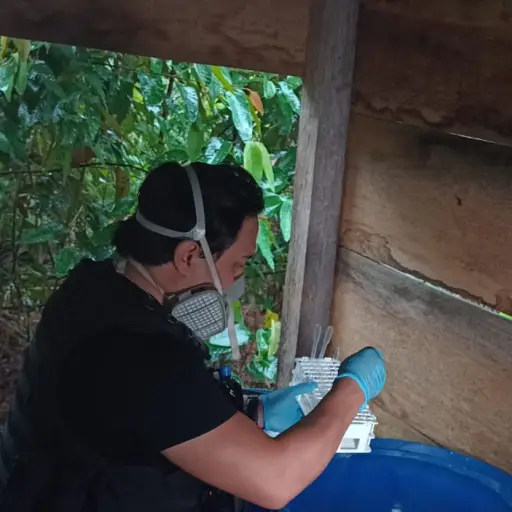 Narcolaboratorio localizado en Izabal. / Foto: MP