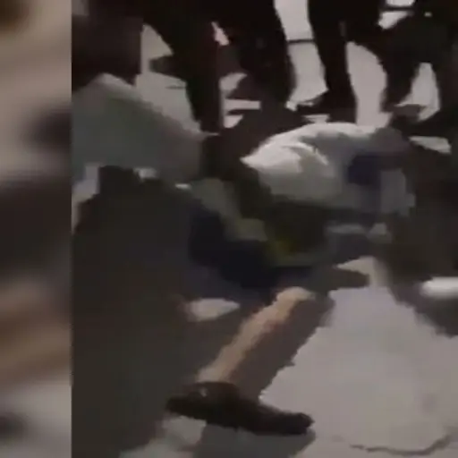 repartidores-095149 ,