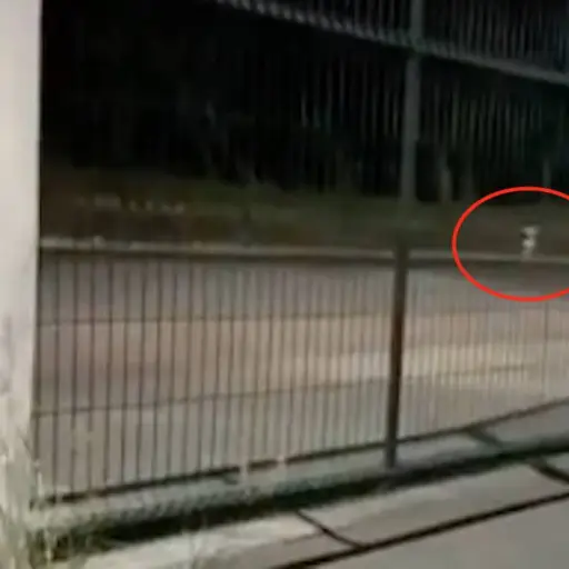 Captura de pantalla video Facebook. 