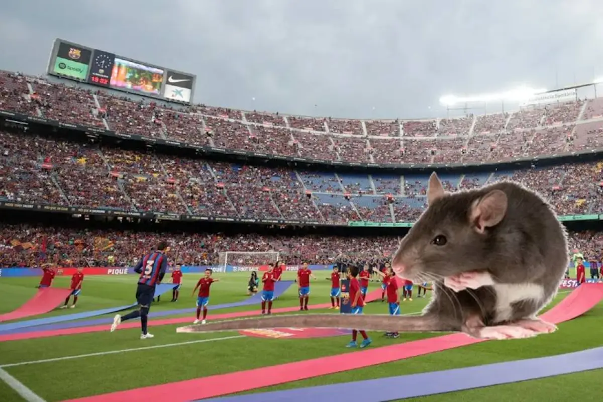 Captan ratas caminando en el techo del graderío del Camp Nou, 