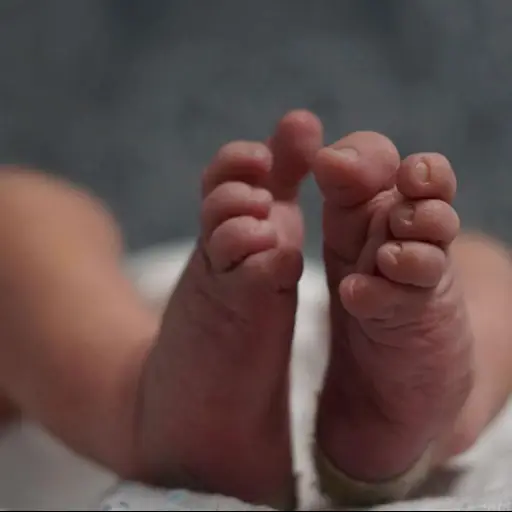 Foto ilustrativa: Pixabay.com