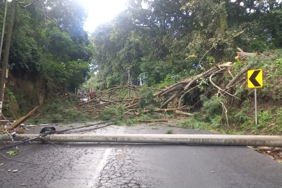 Árbol impide la circulación a San Juan Sacatepéquez. / Foto: PMT de Mixco