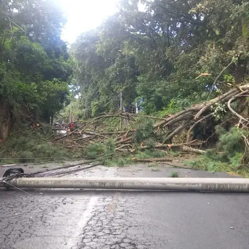 Árbol impide la circulación a San Juan Sacatepéquez. / Foto: PMT de Mixco