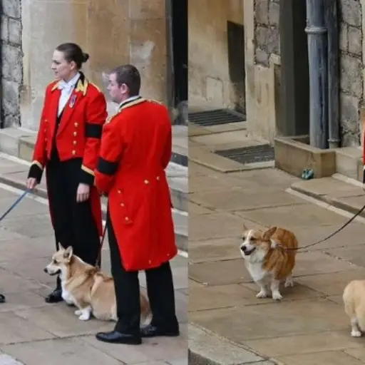 Muick y Sandy Reina Isabel II ,