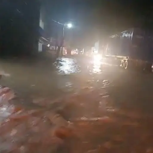 Foto: Captura de pantalla