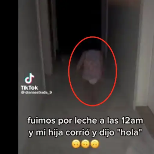 Captura de pantalla video TikTok. 