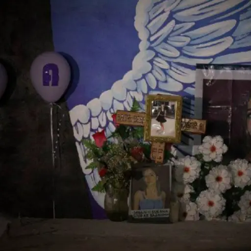 ¿Que ocurrió con el caso de Debanhi Escobar? ,