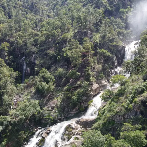 La riqueza natural y cultural de las areas protegidas en Guatemala ,