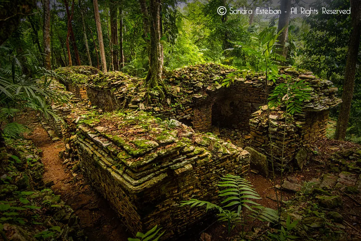 Todo lo que puede descubrir en el mundo maya de Petén, 