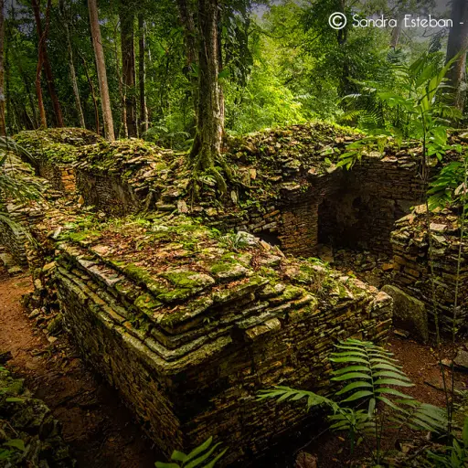 Todo lo que puede descubrir en el mundo maya de Peten ,