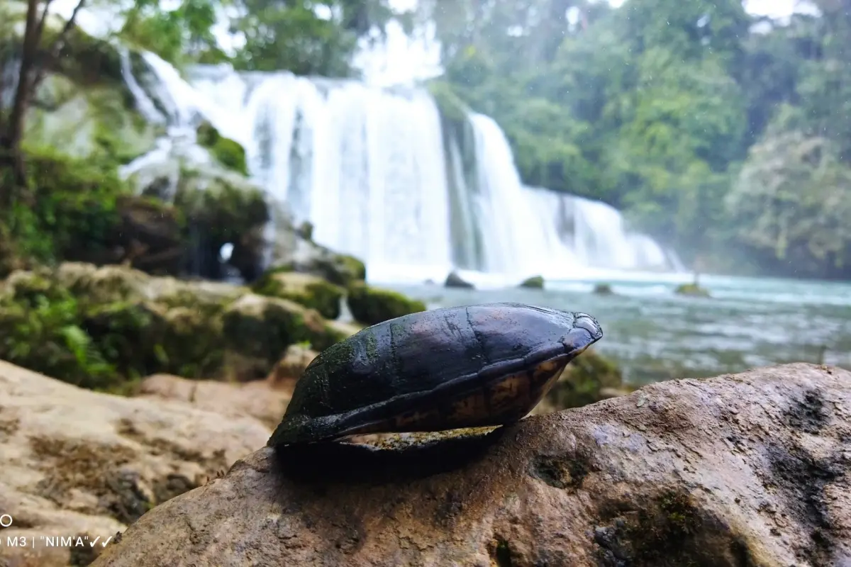 Foto: Parque Natural Las Conchas.