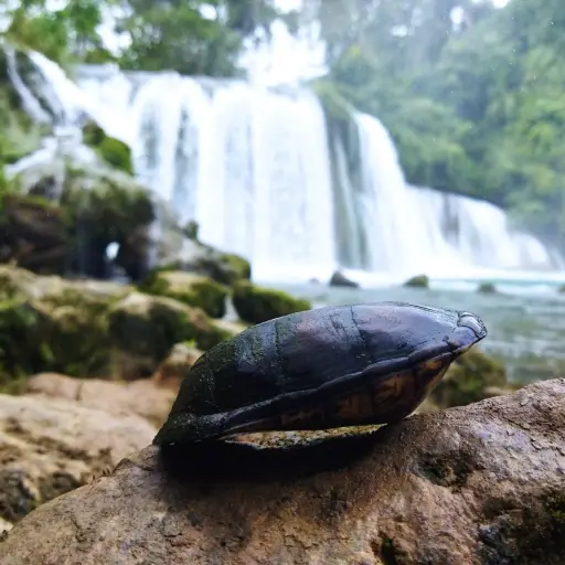 Foto: Parque Natural Las Conchas.