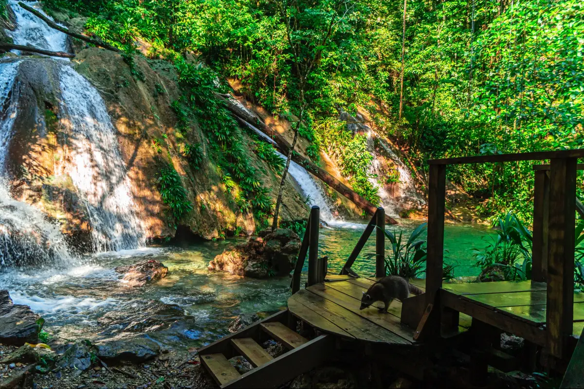 Foto: Paseo Guatemala. 