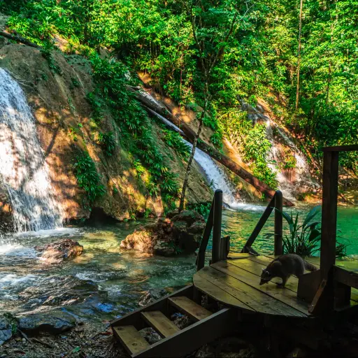 Foto: Paseo Guatemala. 