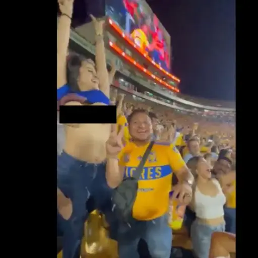 trigres aficionada ,