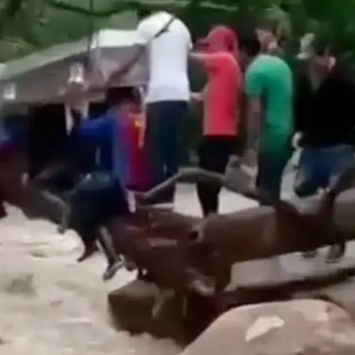 Captura de pantalla video. 