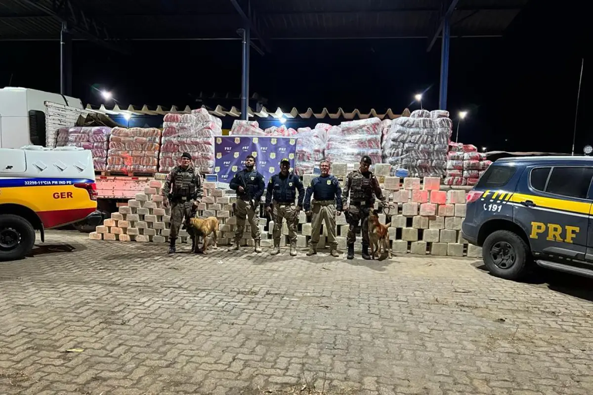 Policía de Brasil incauta una tonelada de cocaína en arena para gatos, 