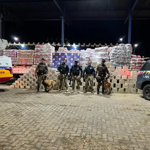 Policia de Brasil incauta una tonelada de cocaina en arena para gatos ,