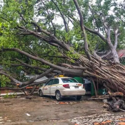 Julia continua su trayectoria y se degrada a tormenta tropical ,