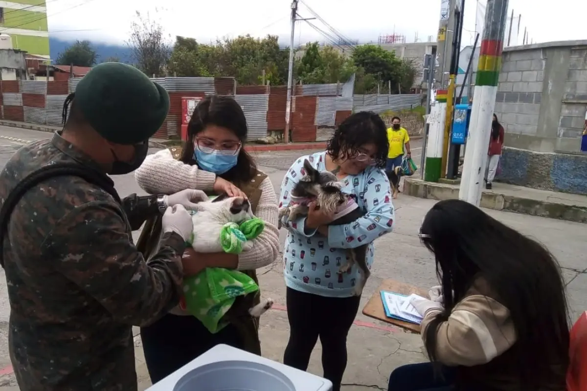 Administran dosis de la vacuna antirrábica en Totonicapán. / Foto: Ejército