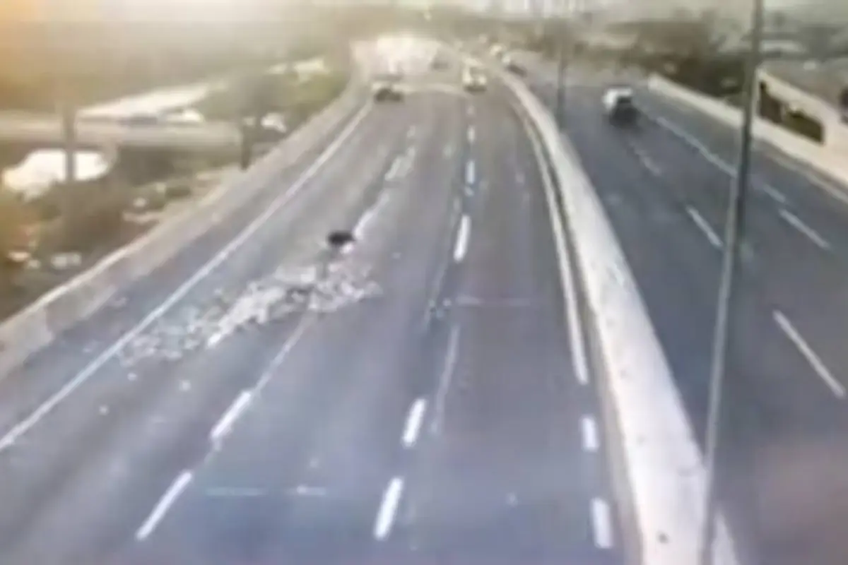 Video del momento en que delincuentes arrojan dinero en autopista para no ser detenidos, 