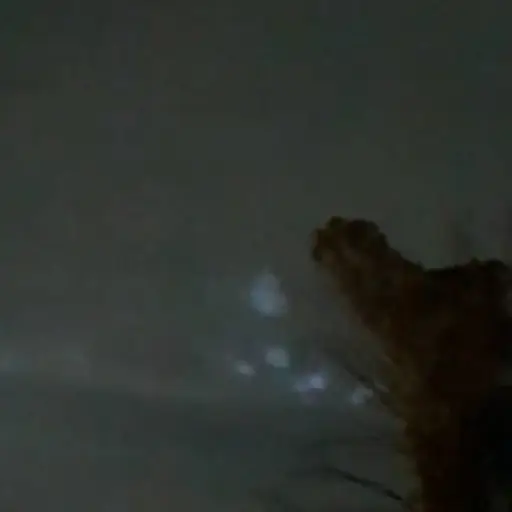 Captura de pantalla video. 