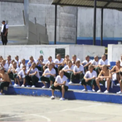 Foto de archivo: SBS